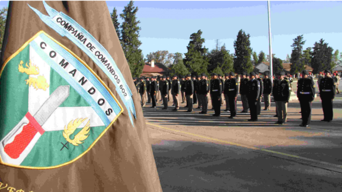 Curso de comando 2025